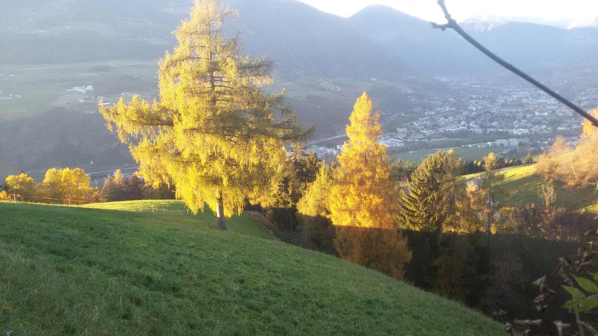 Residence Hofer Brixen Exteriör bild