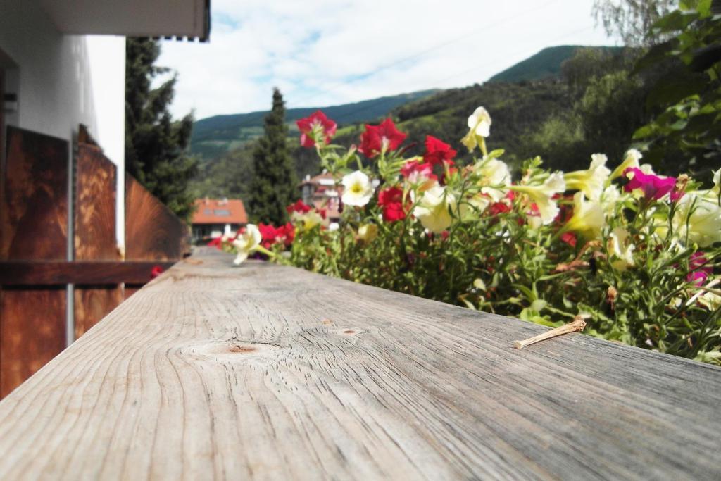 Residence Hofer Brixen Exteriör bild